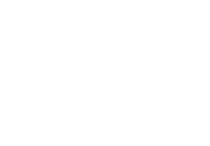 BraMex Express