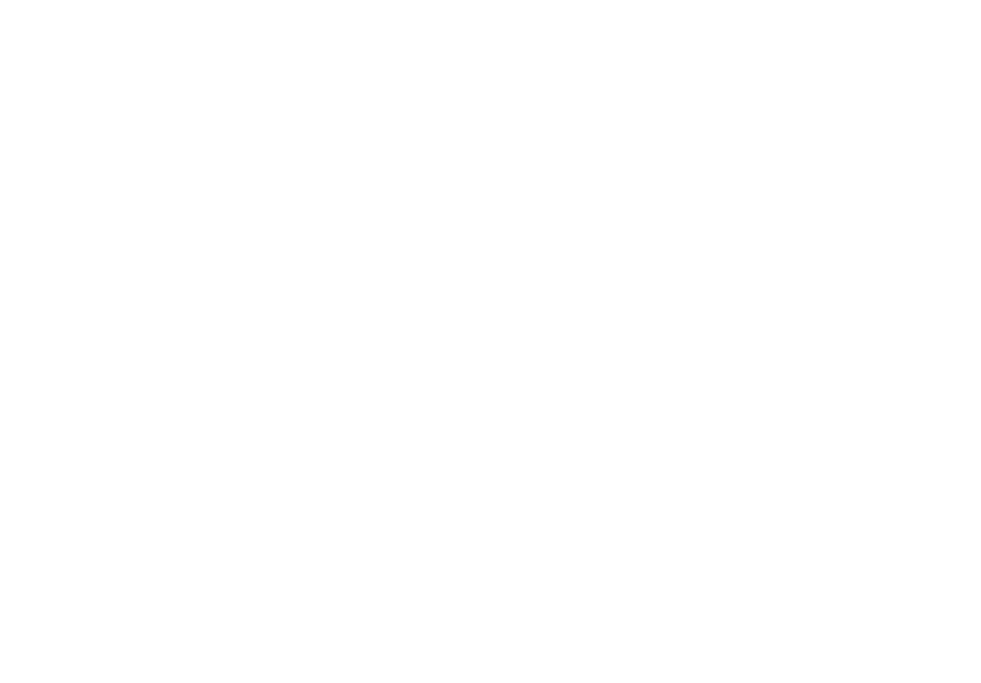 BraMex Express